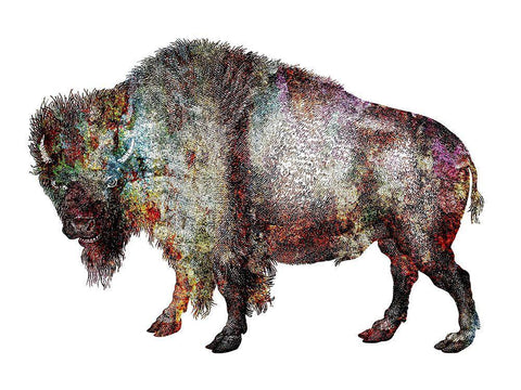 Rustic Bison 5 Black Ornate Wood Framed Art Print with Double Matting by Phillip, Jamie