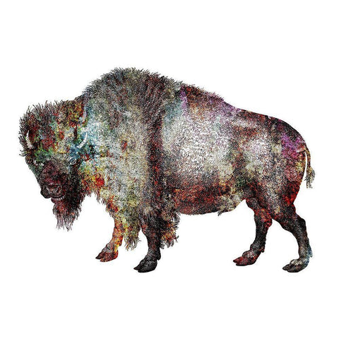 Rustic Bison 5 White Modern Wood Framed Art Print by Phillip, Jamie