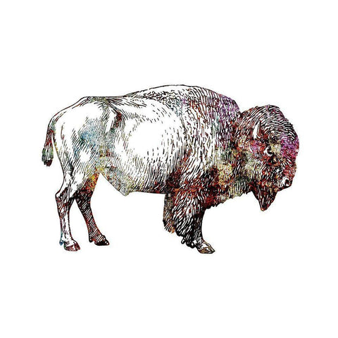 Rustic Bison 5 Black Modern Wood Framed Art Print with Double Matting by Phillip, Jamie