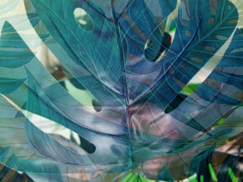 Succulent Tropics White Modern Wood Framed Art Print with Double Matting by Phillip, Jamie