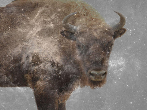 Trad Buff White Modern Wood Framed Art Print with Double Matting by Phillip, Jamie