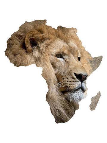 Africa Black Ornate Wood Framed Art Print with Double Matting by Phillip, Jamie