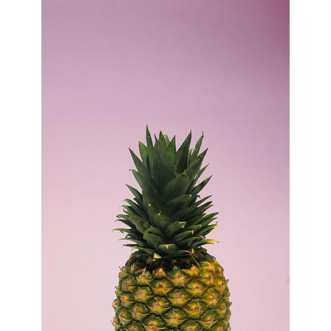 Eddible Dream Black Modern Wood Framed Art Print with Double Matting by Phillip, Jamie