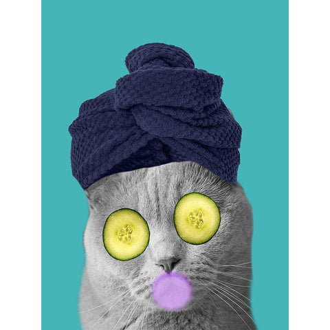 Bubble Bath Cat White Modern Wood Framed Art Print by Phillip, Jamie