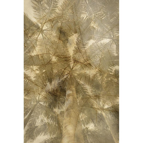 Golden Palm Gold Ornate Wood Framed Art Print with Double Matting by Phillip, Jamie