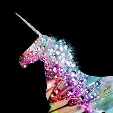 Unique Horn White Modern Wood Framed Art Print with Double Matting by Phillip, Jamie