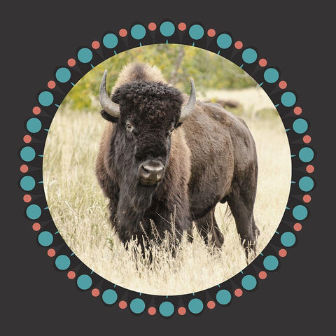 Buffalo Ring 1 White Modern Wood Framed Art Print by Phillip, Jamie