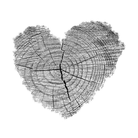 Love Stump 1 White Modern Wood Framed Art Print with Double Matting by Phillip, Jamie