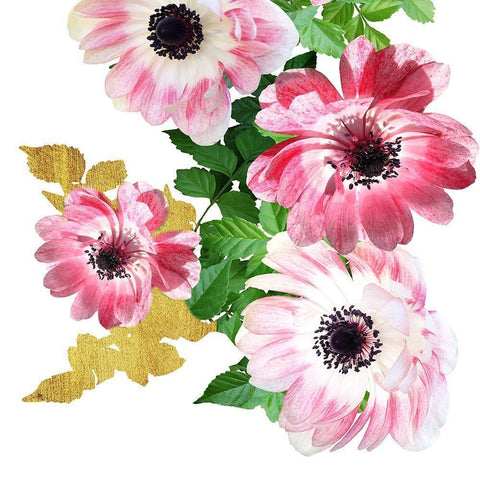 Rose Garden 1 Black Modern Wood Framed Art Print with Double Matting by Phillip, Jamie