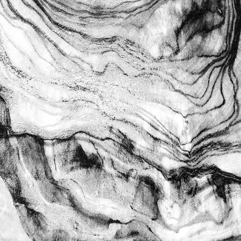 Black Vain Abstract White Modern Wood Framed Art Print with Double Matting by Phillip, Jamie