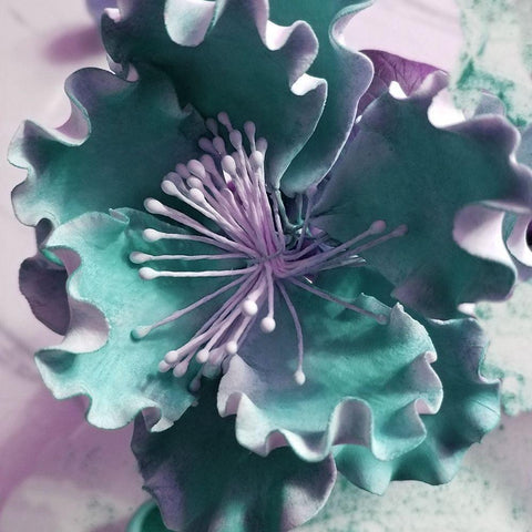 Florest Delight 2 Black Modern Wood Framed Art Print by Phillip, Jamie