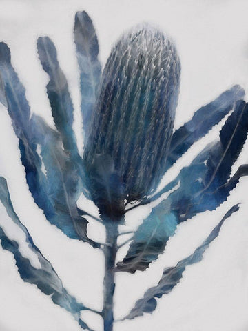 From the Ashes II White Modern Wood Framed Art Print with Double Matting by Urban Road