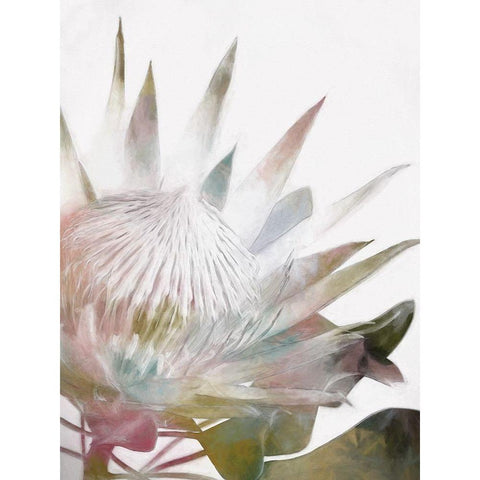 Sugar Bush I White Modern Wood Framed Art Print by Urban Road