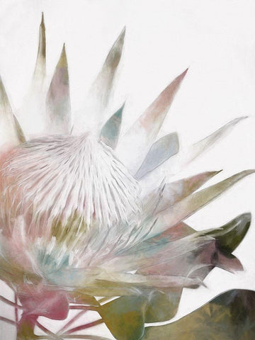 Sugar Bush I Black Ornate Wood Framed Art Print with Double Matting by Urban Road