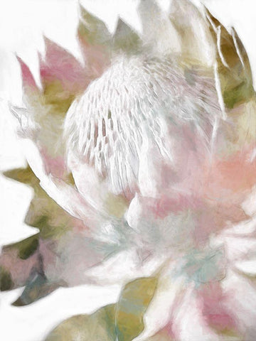 Sugar Bush II White Modern Wood Framed Art Print with Double Matting by Urban Road