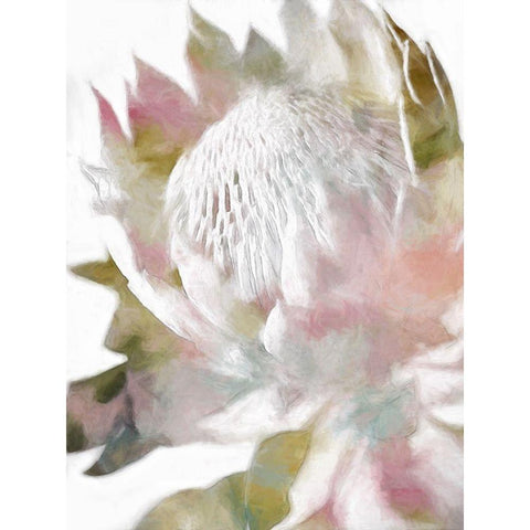 Sugar Bush II Gold Ornate Wood Framed Art Print with Double Matting by Urban Road