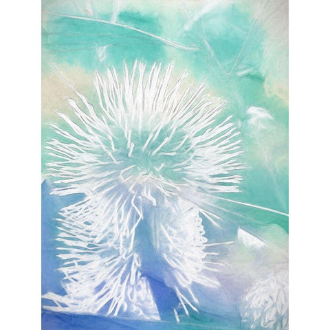 Make A Wish I Gold Ornate Wood Framed Art Print with Double Matting by Urban Road