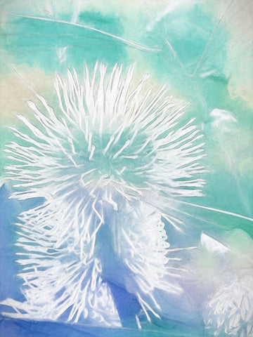 Make A Wish I Black Ornate Wood Framed Art Print with Double Matting by Urban Road