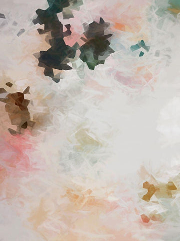 Lace and Roses Black Ornate Wood Framed Art Print with Double Matting by Urban Road