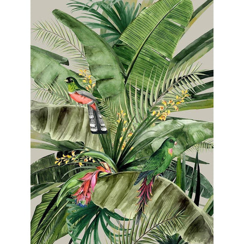 Paradise Black Modern Wood Framed Art Print with Double Matting by Urban Road