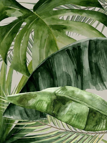 Natures Veil White Modern Wood Framed Art Print with Double Matting by Urban Road