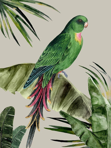 Plume White Modern Wood Framed Art Print with Double Matting by Urban Road