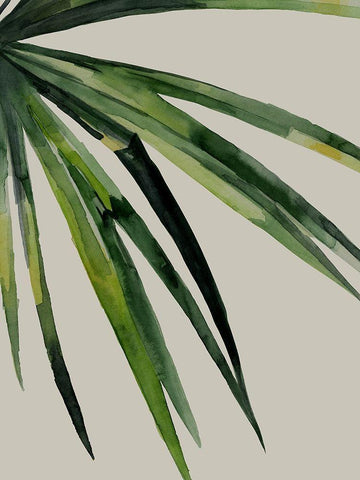 Splice Black Ornate Wood Framed Art Print with Double Matting by Urban Road