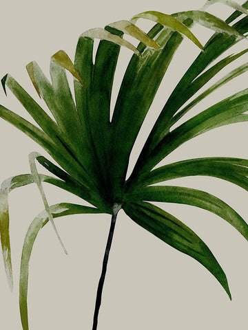 Solo Black Ornate Wood Framed Art Print with Double Matting by Urban Road