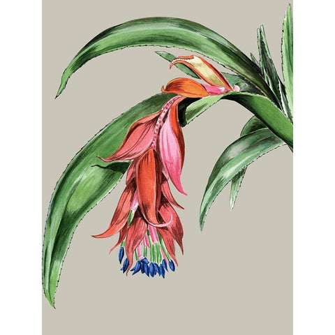 Crimson Bloom Gold Ornate Wood Framed Art Print with Double Matting by Urban Road