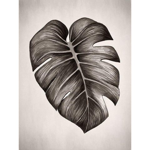 Verdure I Sepia Black Modern Wood Framed Art Print with Double Matting by Urban Road