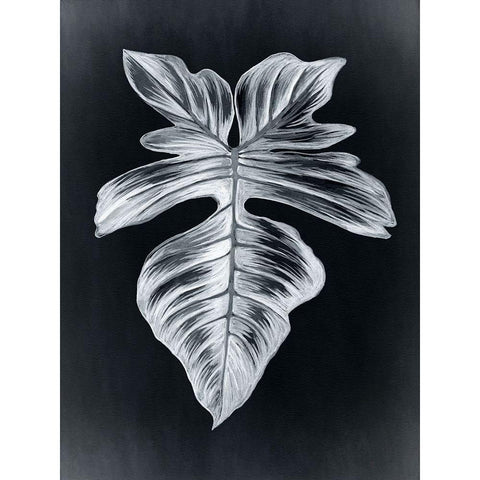 Verdure III Midnight White Modern Wood Framed Art Print by Urban Road