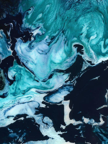 Lunar Black Ornate Wood Framed Art Print with Double Matting by Urban Road