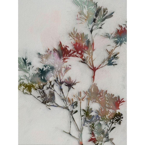 Winter Posy II Gold Ornate Wood Framed Art Print with Double Matting by Urban Road
