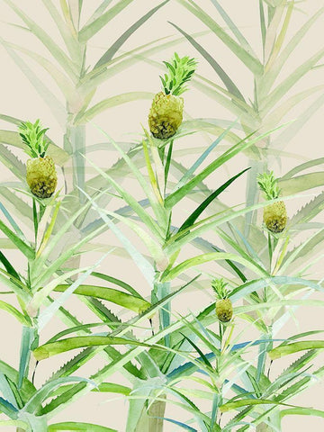 Jagged Little Ananas White Modern Wood Framed Art Print with Double Matting by Urban Road