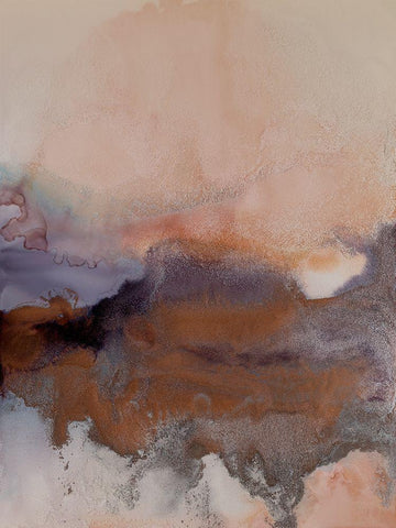 Wild Plum III Black Ornate Wood Framed Art Print with Double Matting by Urban Road