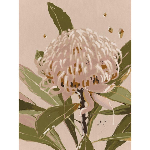 Neutral Waratah White Modern Wood Framed Art Print by Urban Road