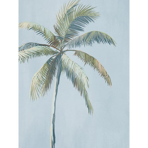 Island Dreaming Black Modern Wood Framed Art Print with Double Matting by Urban Road