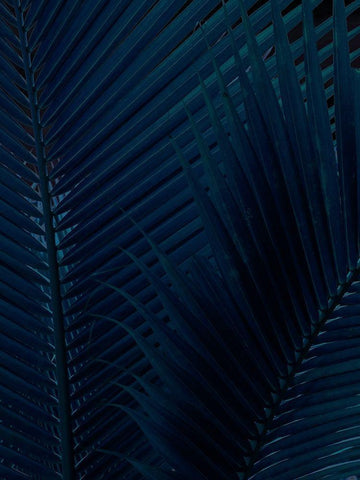 Eclipse I Black Ornate Wood Framed Art Print with Double Matting by Urban Road