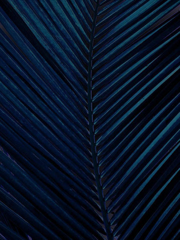 Eclipse II White Modern Wood Framed Art Print with Double Matting by Urban Road