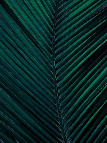 Shade II White Modern Wood Framed Art Print with Double Matting by Urban Road