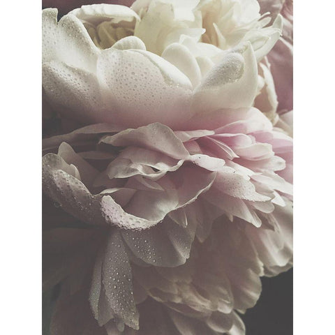 Chivalrous Black Modern Wood Framed Art Print by Urban Road