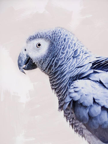 Earnest White Modern Wood Framed Art Print with Double Matting by Urban Road