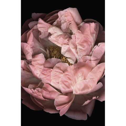 Hopeful I White Modern Wood Framed Art Print by Urban Road