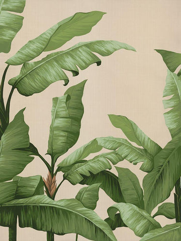 Panama I White Modern Wood Framed Art Print with Double Matting by Urban Road