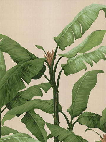 Panama II White Modern Wood Framed Art Print with Double Matting by Urban Road