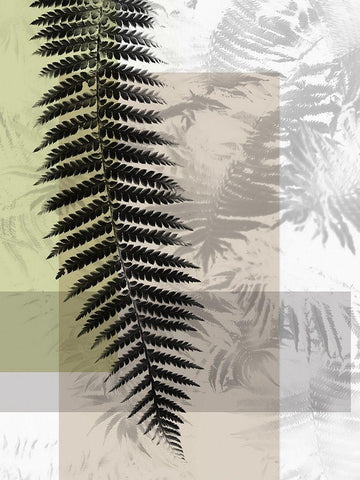 Plantation III White Modern Wood Framed Art Print with Double Matting by Urban Road