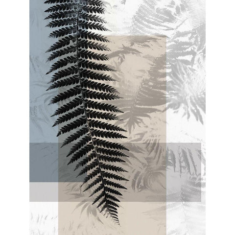 Havana III Black Modern Wood Framed Art Print with Double Matting by Urban Road