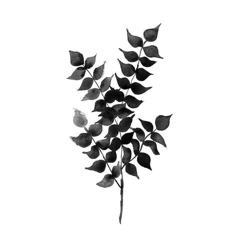 Cedar Black Poster White Modern Wood Framed Art Print by Urban Road