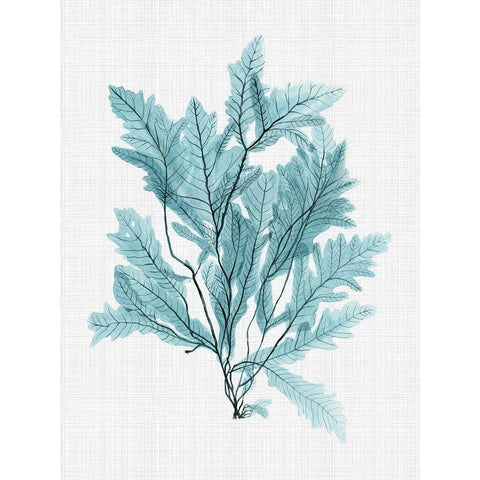 Aruba Turquoise Poster Black Modern Wood Framed Art Print with Double Matting by Urban Road