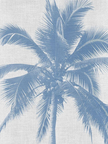 Denim Palms II Poster White Modern Wood Framed Art Print with Double Matting by Urban Road